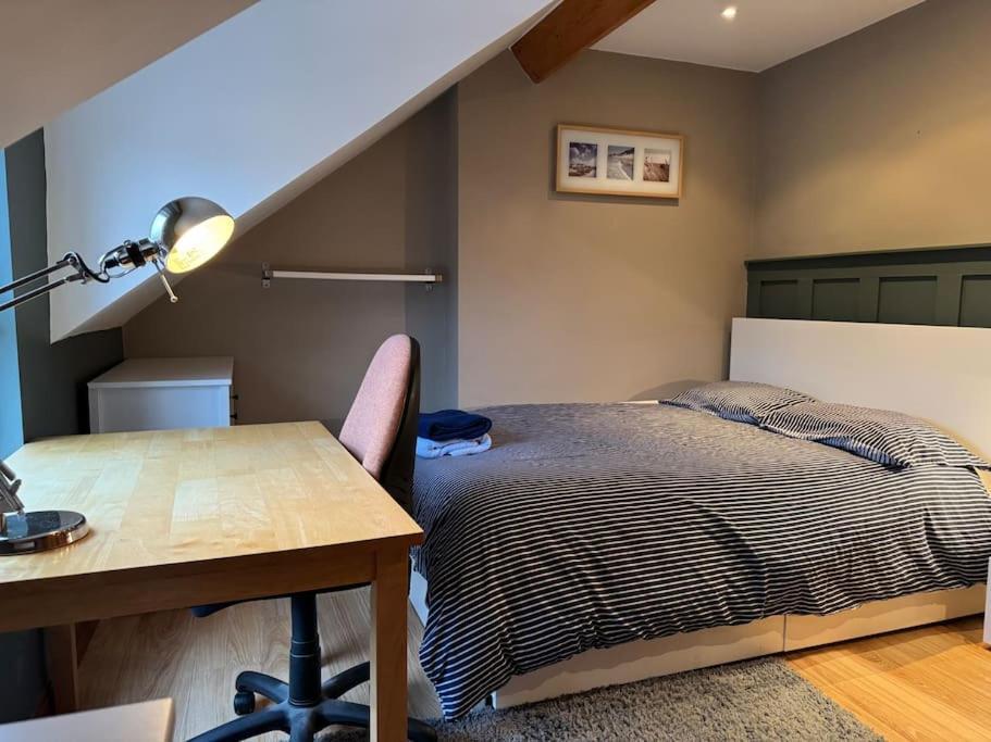 Stylish, Spacious And Central 4 Bedroom House 벨파스트 외부 사진